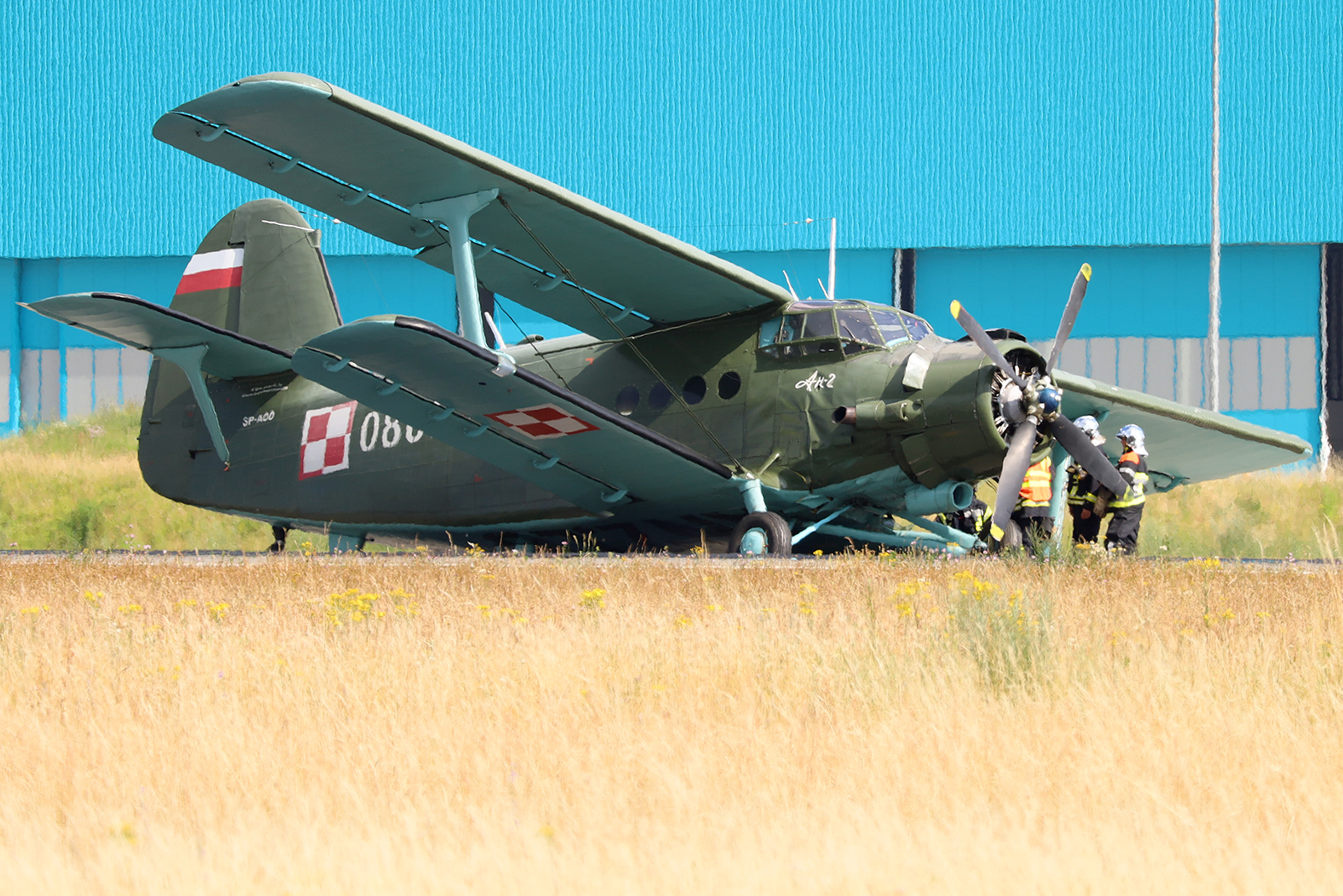 SP-AOO